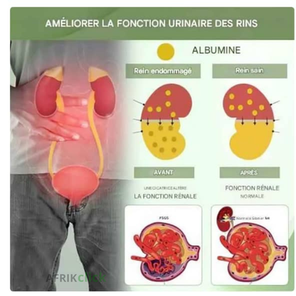 Thé aux Dix Trésors au Ginseng